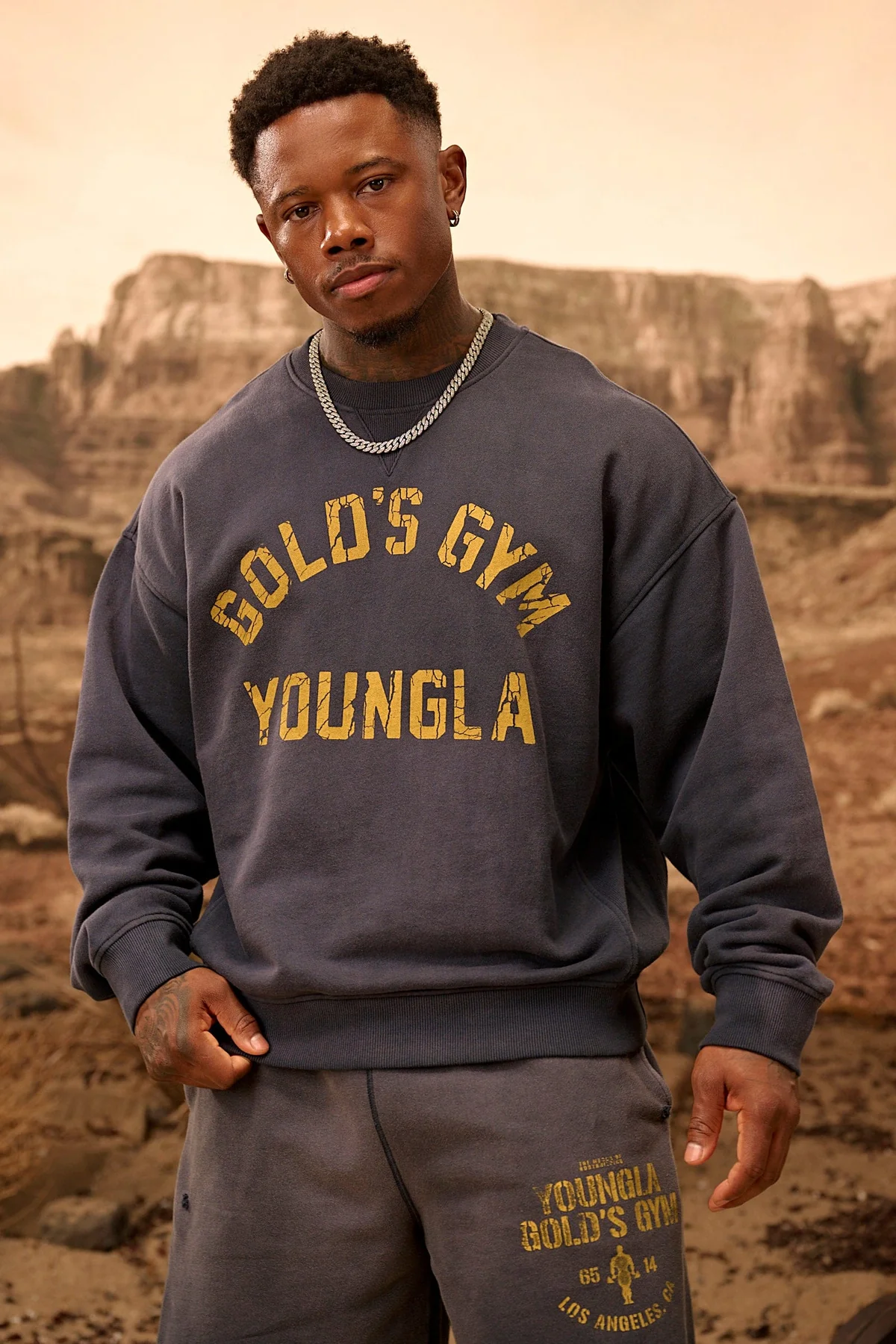 5166 - GOLD'S IRON LEGACY VINTAGE CREWNECKS