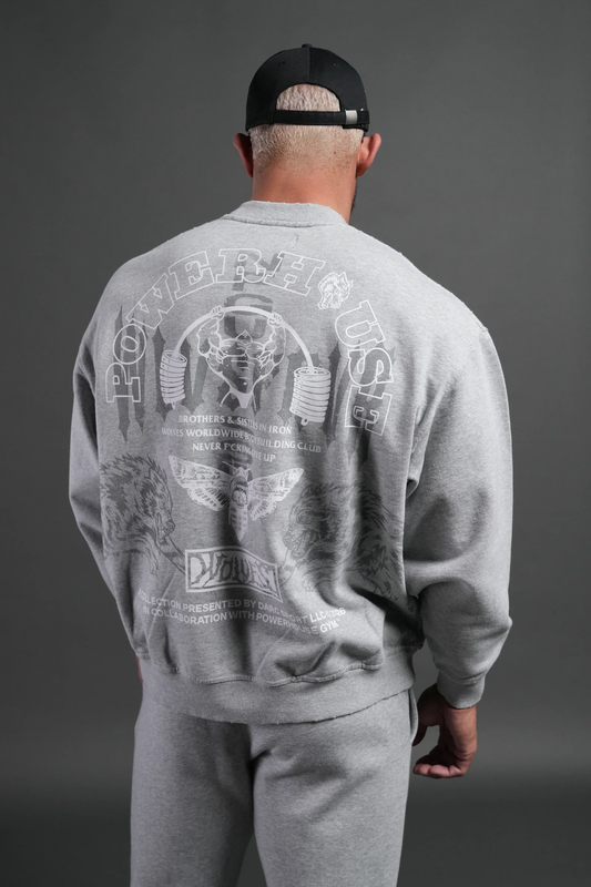 POWERHOUSE MOTH DESTROYED OVERSIZED LONDON CREWNECK IN LIGHT ATHLETIC GRAY