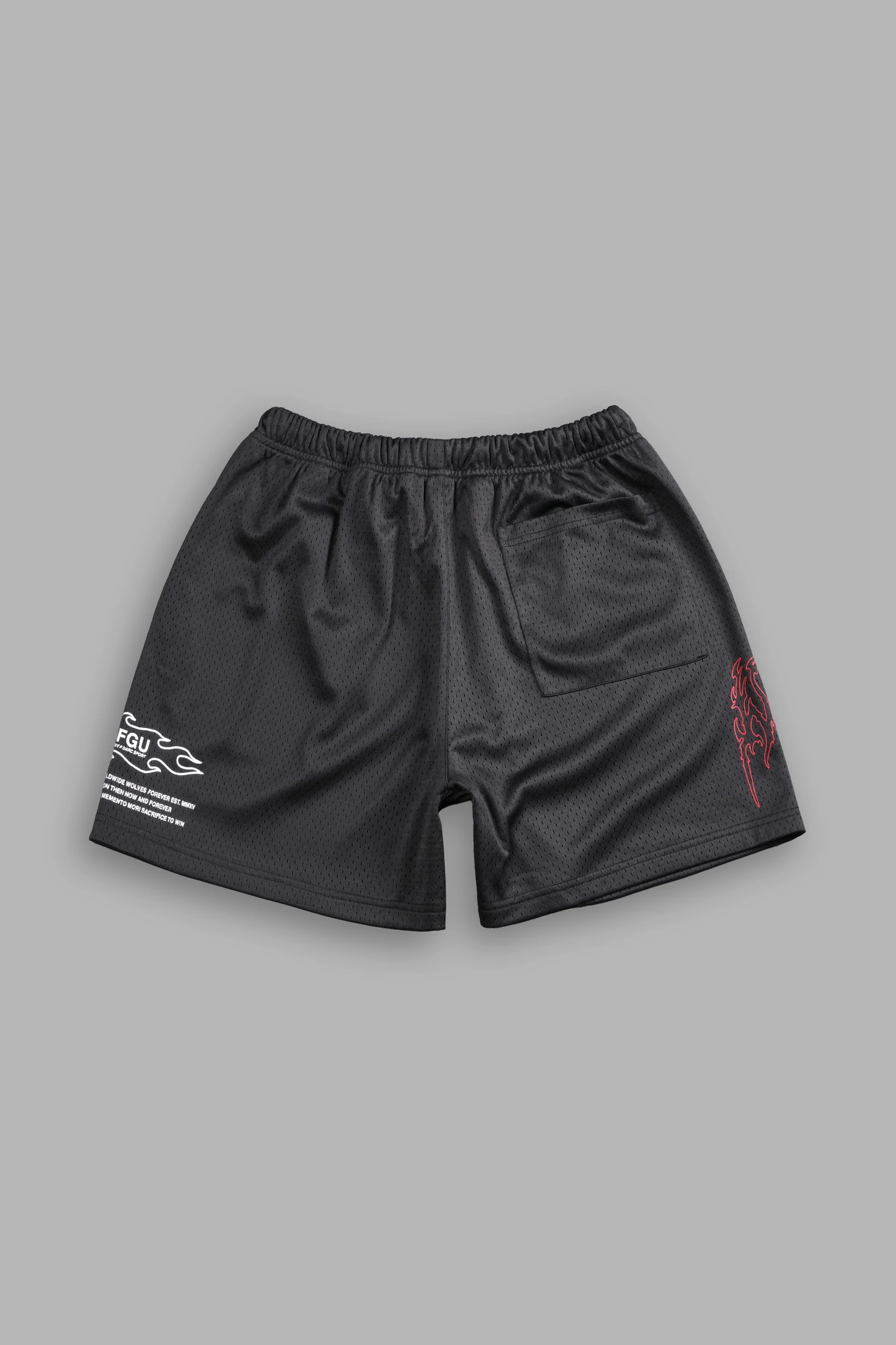 SHADOW HESH MESH SHORTS IN WOLF GRAY